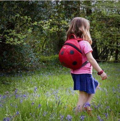 Relags LittleLife - Mochila infantil (40 cm), diseño de mariquita