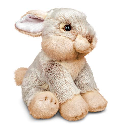 Tobar-Tobar-37236-Peluche de Conejo, Animigos World of Nature, 37236, Gris