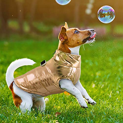 Wsnld Ropa Perros pequeños, Ropa para Perros, Chaqueta para Cachorros, Chaleco cálido de Invierno, Abrigo para Perros, Ropa para Chihuahua Bulldog