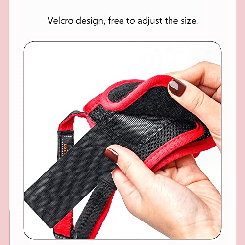 ZDSS Bozal para Perros,Malla Transpirable con Forma de Boca para Perros,Paño de Malla Suave,Circunferencia de la Boca con Velcro,Correas Ajustables,Adecuado para Perros pequeños y medianos